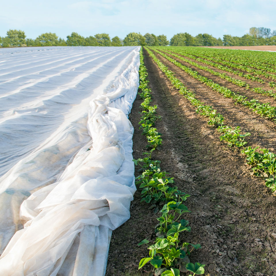 Agro textil: Beneficios